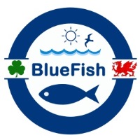 Bluefish logo